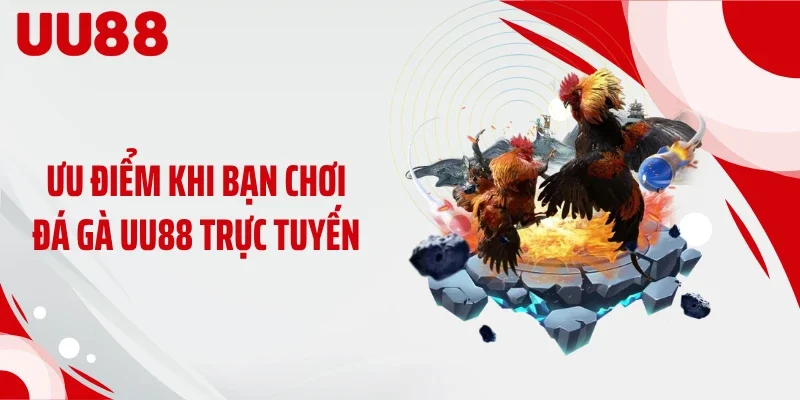 Ưu điểm khi bạn chơi đá gà UU88 trực tuyến